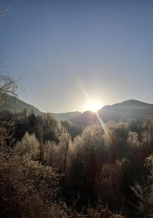 Chill&Sleep Bad Ischl Διαμέρισμα Εξωτερικό φωτογραφία