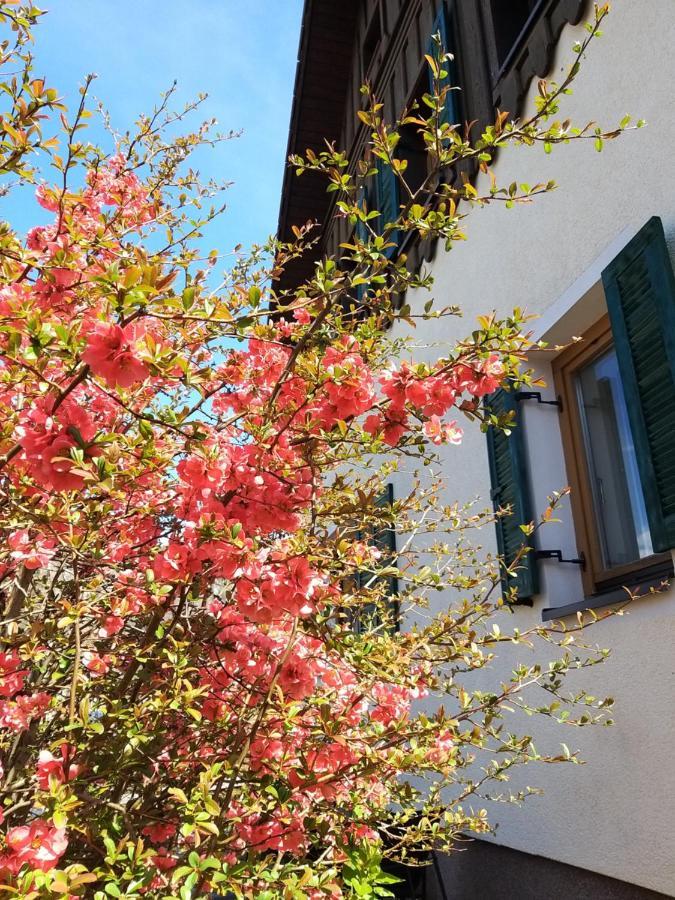 Chill&Sleep Bad Ischl Διαμέρισμα Εξωτερικό φωτογραφία